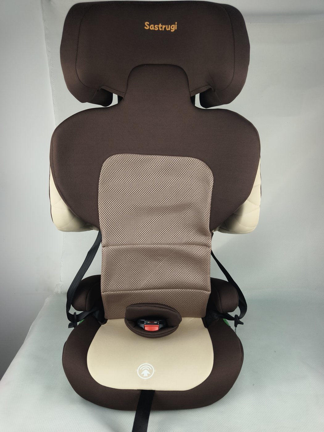 Brown — rear of backrest
