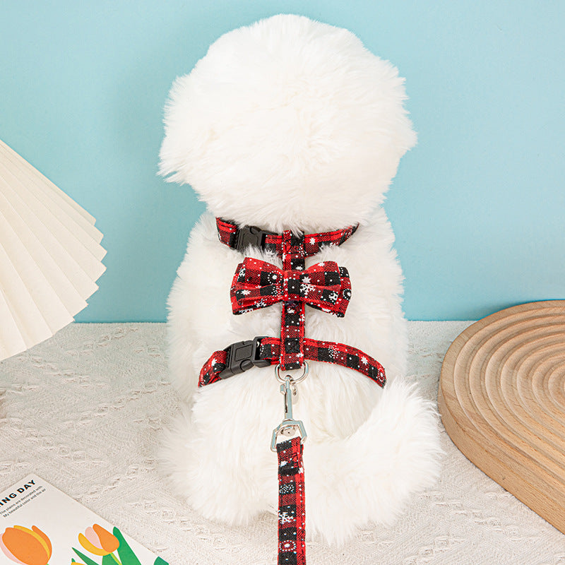 Pet leash -Customizable-Direct from the factory