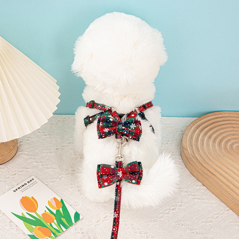 Pet leash -Customizable-Direct from the factory