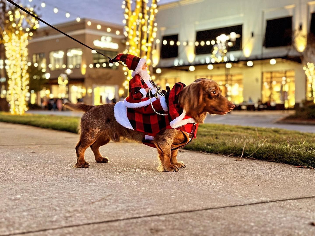 Pet Dog Christmas Costume Santa Claus Riding Outfit Christmas Pet Clothes Reindeer Riding Outfit Pet Christmas Supplies