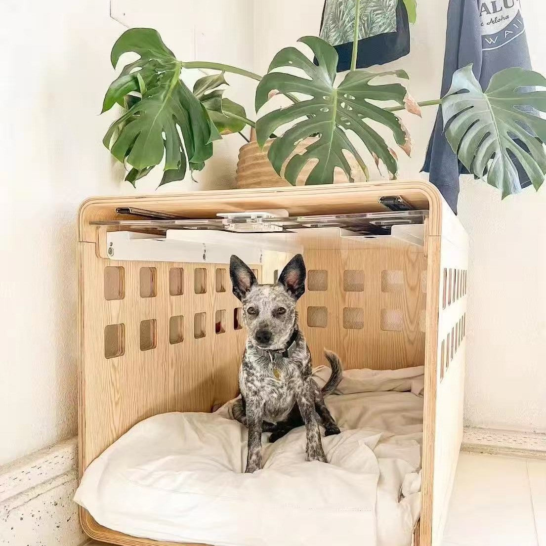 Creative Wooden Cat and Dog Bed Bedside Table Bedside Pet Bed Wooden Human and Pet Shared Integrated Storage Cabinet All Seasons -Customizable-Direct from the factory