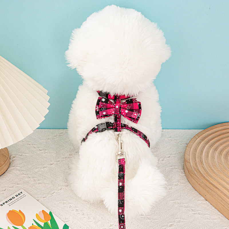 Pet leash -Customizable-Direct from the factory